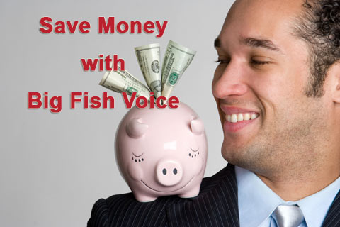 Save Money on cloud VoIP phone systems with Big Fish Voice Save Money on cloud VoIP phone systems with Big Fish Voice