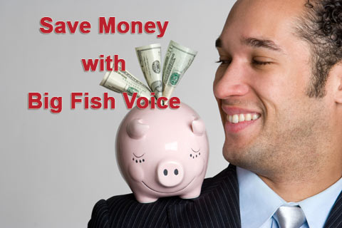 Save Money on cloud VoIP phone systems with Big Fish Voice